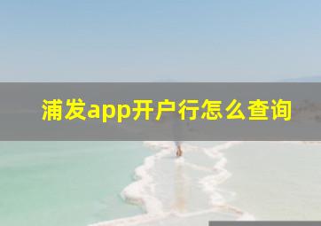 浦发app开户行怎么查询