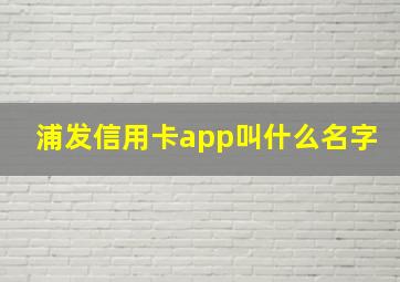 浦发信用卡app叫什么名字