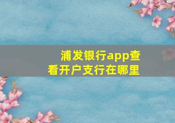 浦发银行app查看开户支行在哪里