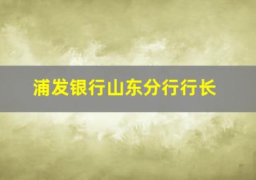 浦发银行山东分行行长