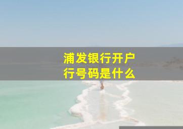 浦发银行开户行号码是什么