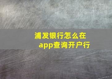 浦发银行怎么在app查询开户行