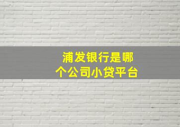 浦发银行是哪个公司小贷平台