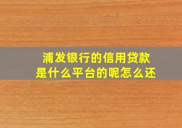 浦发银行的信用贷款是什么平台的呢怎么还