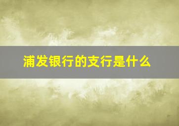 浦发银行的支行是什么