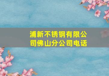 浦新不锈钢有限公司佛山分公司电话