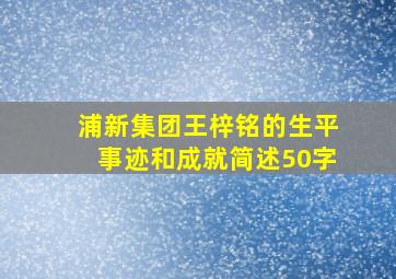 浦新集团王梓铭的生平事迹和成就简述50字