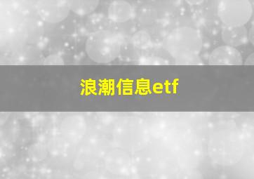 浪潮信息etf