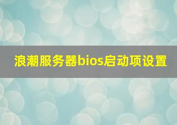 浪潮服务器bios启动项设置