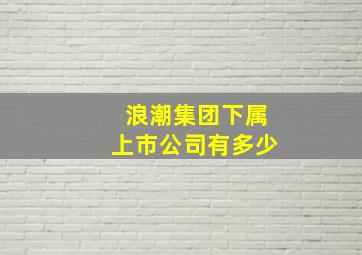 浪潮集团下属上市公司有多少