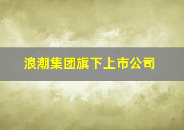 浪潮集团旗下上市公司