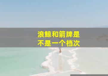 浪鲸和箭牌是不是一个档次