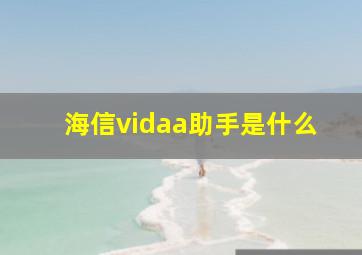 海信vidaa助手是什么