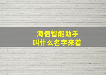 海信智能助手叫什么名字来着