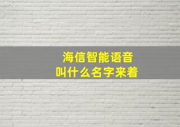 海信智能语音叫什么名字来着