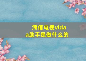 海信电视vidaa助手是做什么的