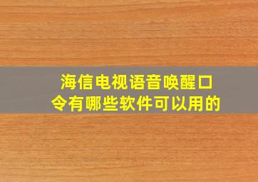 海信电视语音唤醒口令有哪些软件可以用的