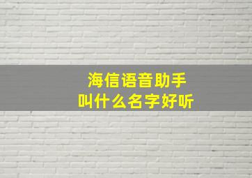 海信语音助手叫什么名字好听