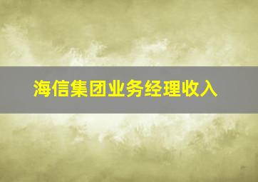 海信集团业务经理收入