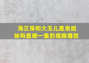 海兰珠和大玉儿是亲姐妹吗是哪一集的视频播放