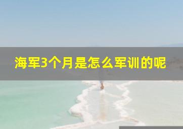 海军3个月是怎么军训的呢