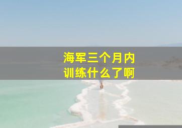 海军三个月内训练什么了啊