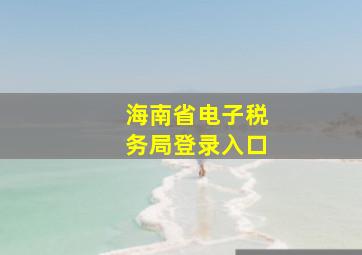 海南省电子税务局登录入口