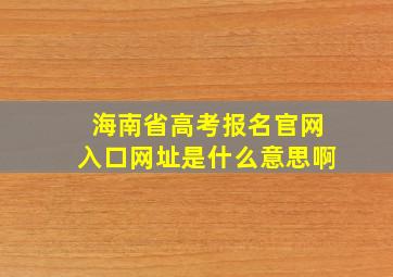 海南省高考报名官网入口网址是什么意思啊