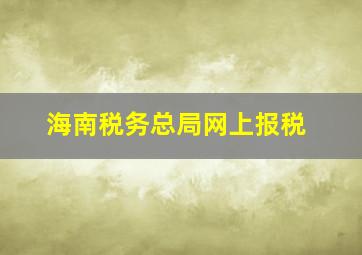 海南税务总局网上报税