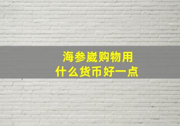 海参崴购物用什么货币好一点