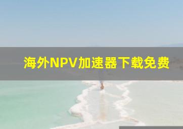 海外NPV加速器下载免费