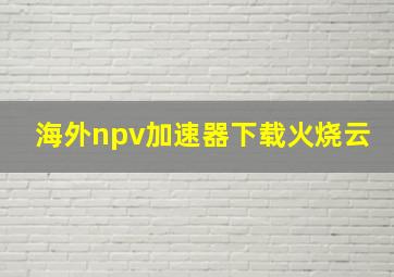 海外npv加速器下载火烧云