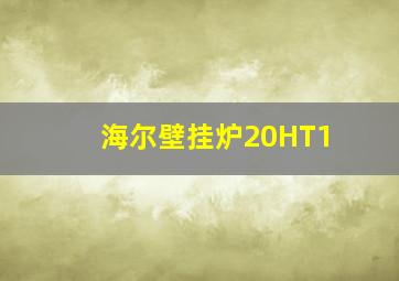 海尔壁挂炉20HT1