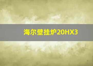 海尔壁挂炉20HX3