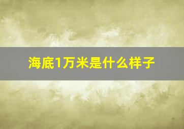 海底1万米是什么样子