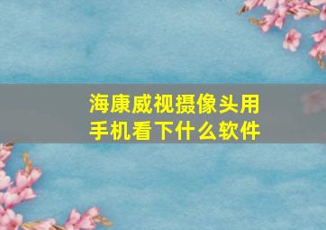 海康威视摄像头用手机看下什么软件