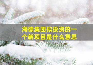 海德集团拟投资的一个新项目是什么意思