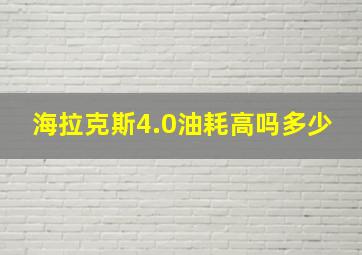 海拉克斯4.0油耗高吗多少