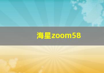 海星zoom58