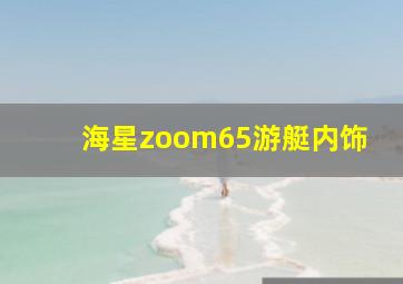 海星zoom65游艇内饰