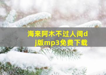 海来阿木不过人间dj版mp3免费下载