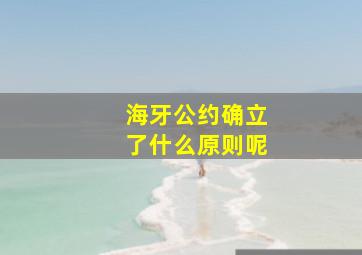 海牙公约确立了什么原则呢