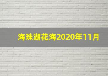 海珠湖花海2020年11月