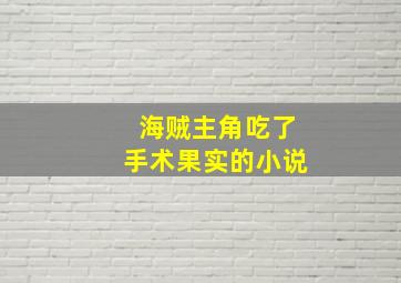 海贼主角吃了手术果实的小说