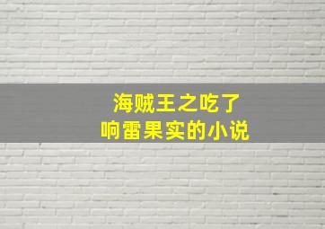 海贼王之吃了响雷果实的小说