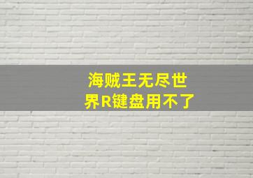 海贼王无尽世界R键盘用不了