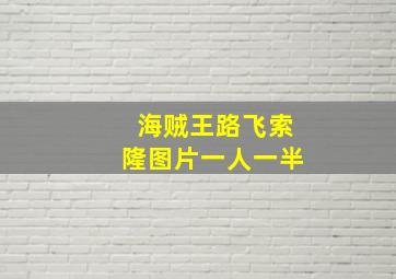 海贼王路飞索隆图片一人一半