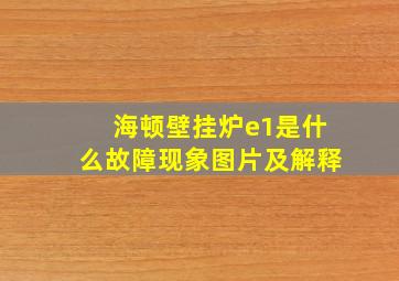 海顿壁挂炉e1是什么故障现象图片及解释