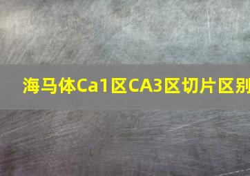 海马体Ca1区CA3区切片区别