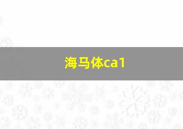 海马体ca1